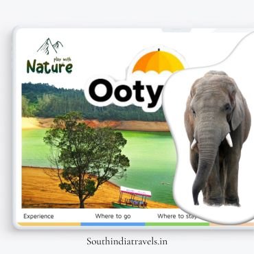 Southindia Tours and Travels providing you Tour Packages in Ooty. Southindia Tours and Travels providing you Tour Packages in Ooty.